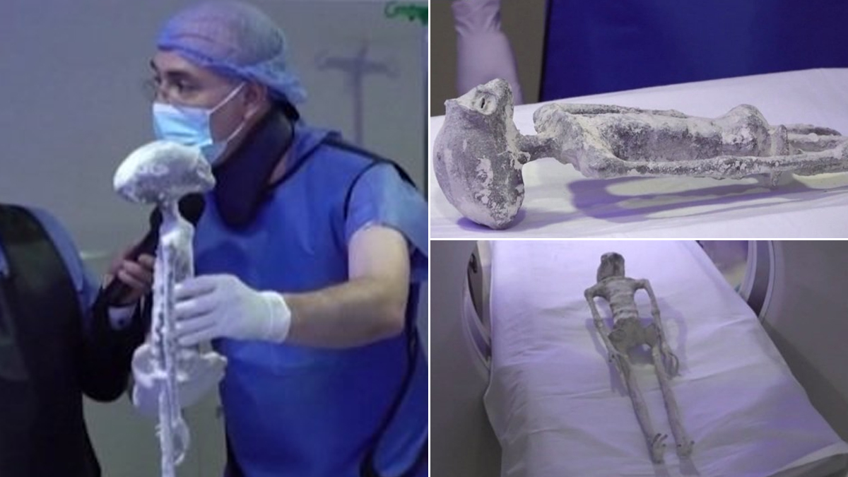 Mexico Alien Dead Bodies: மெக்சிகோ அரசு காட்சிப்படுத்திய ஏலியன் உடல்கள் உண்மையா? : வெளியான பரிசோதனை முடிவுகள்.!
