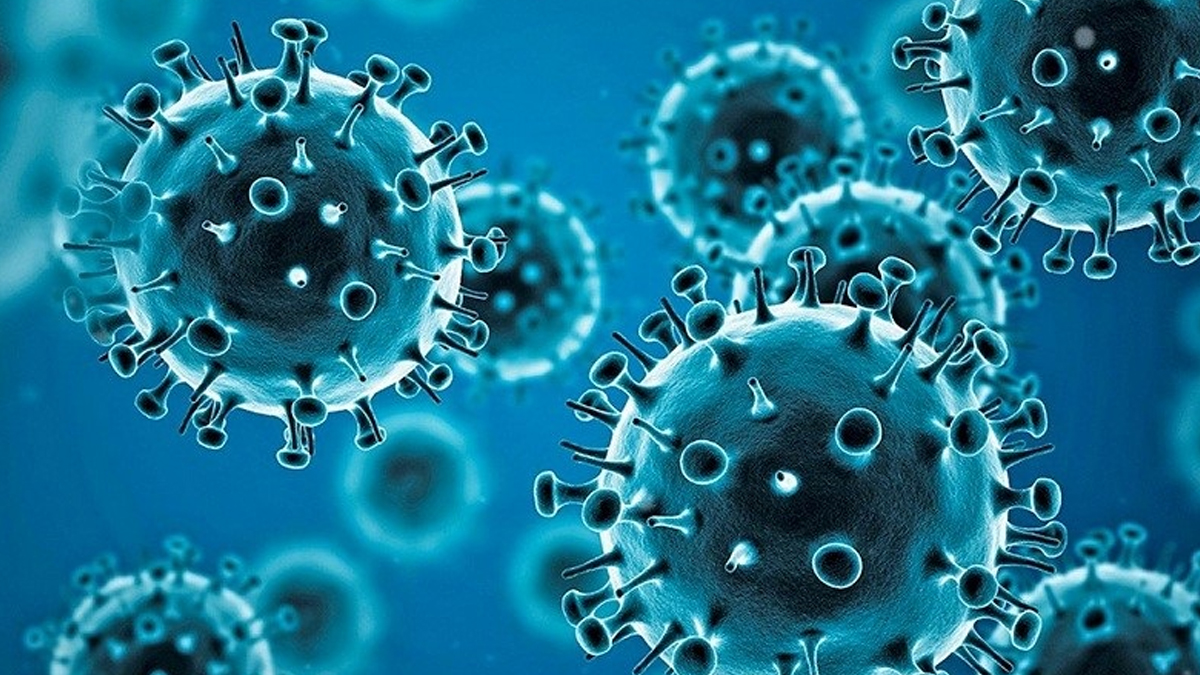 Corona Virus: மீண்டுமா? என்ட்ரி கொடுத்த கொரோனா வைரஸ்.. உஷார்படுத்தும் சுகாதாரத்துறை.!