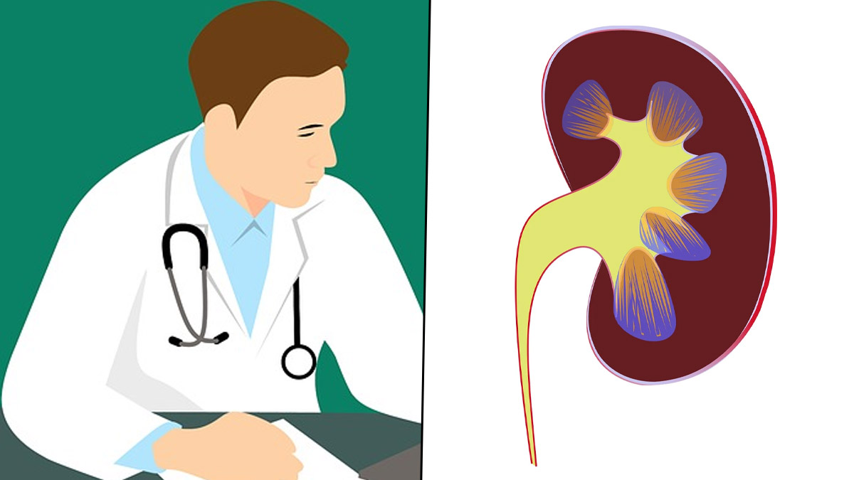 Kidney Stones: சிறுநீரக கற்கள் உருவாகாமல் இருக்க வேண்டுமா? எளிமையான தினசரி டிப்ஸ் இதோ.!