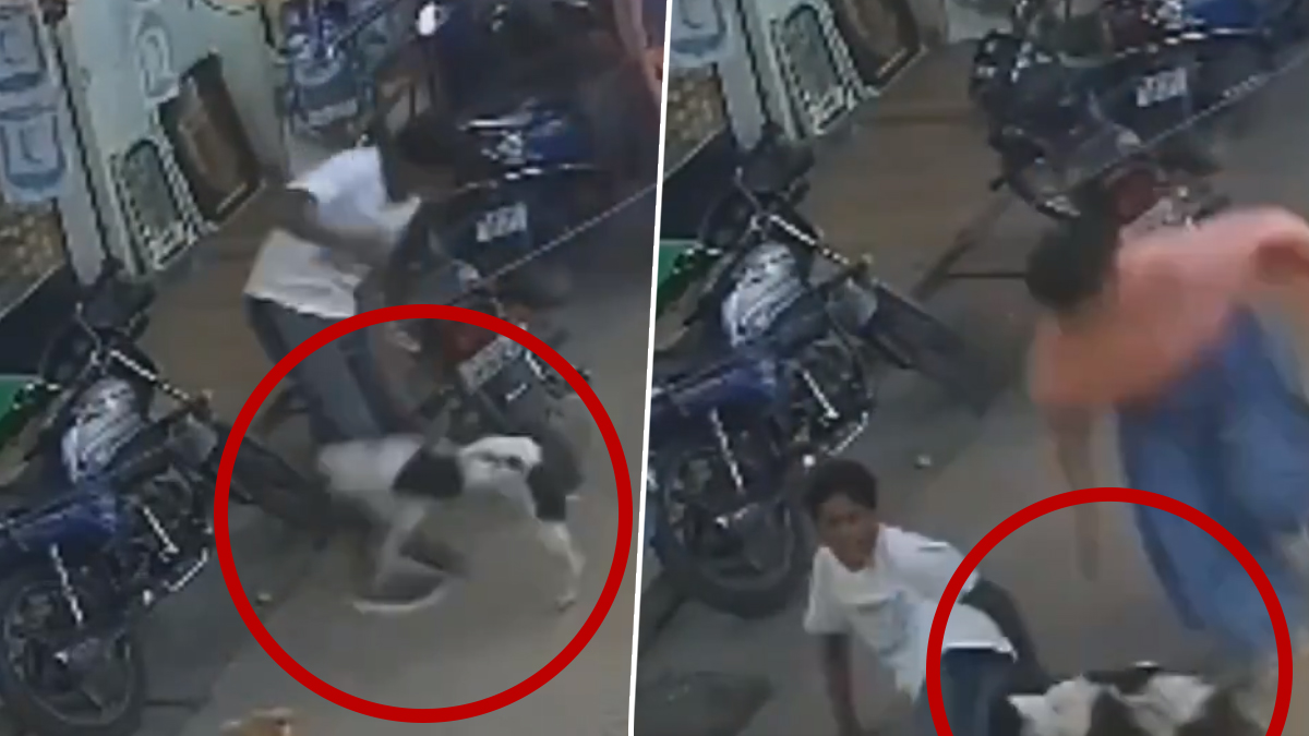 Dog Attack: திடீரென இளைஞரின் மீது பாய்ந்து அந்தரங்க பகுதியில் தாக்கிய நாய்; பதறவைக்கும் காட்சிகள் வைரல்.!
