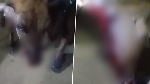 Viral Video: கன்றுக்குட்டியை கடித்த சிறுத்தை.. வைரலாகும் வீடியோ.. சிறுத்தை நடமாட்டத்தால் பொதுமக்கள் பீதி..!