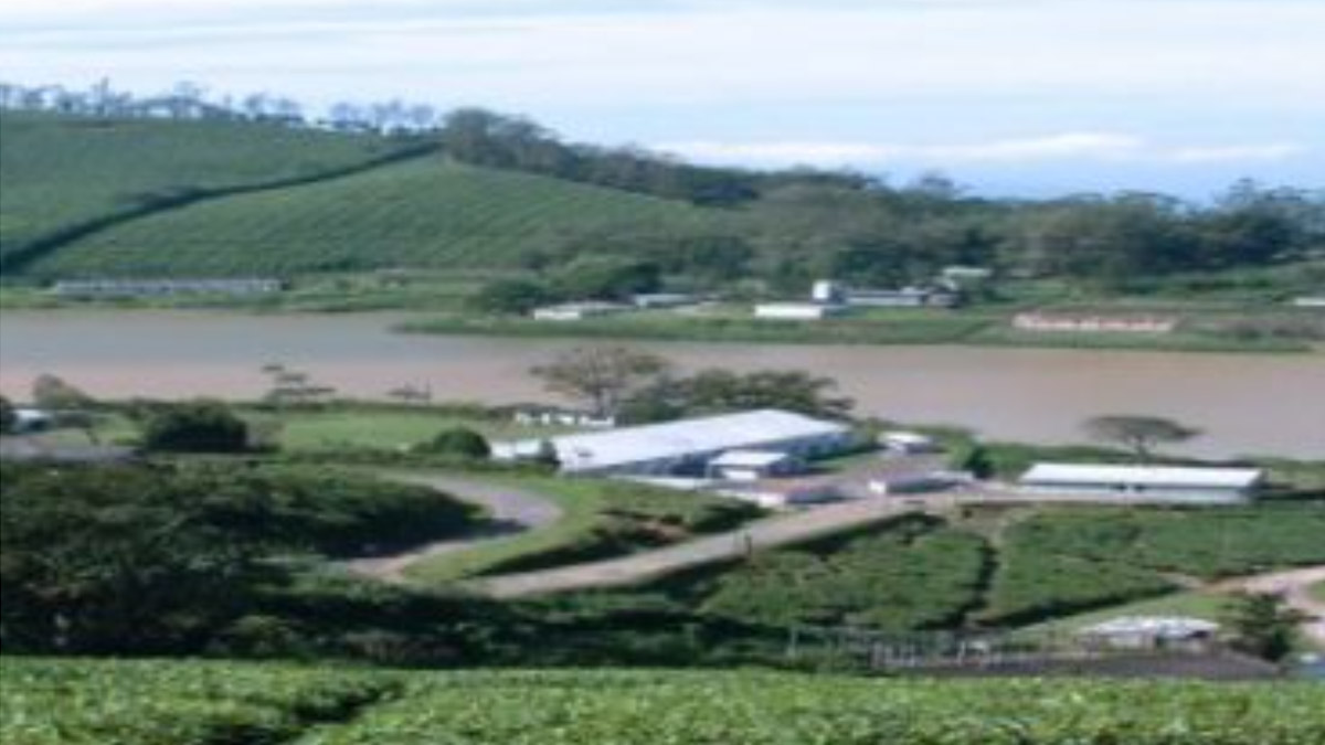 Forest Department Purchased Private Forests: தனியார் பட்டா காடுகளை விலைக்கு வாங்கிய வனத்துறை - வனப்பகுதி அதிகரிப்பு..!
