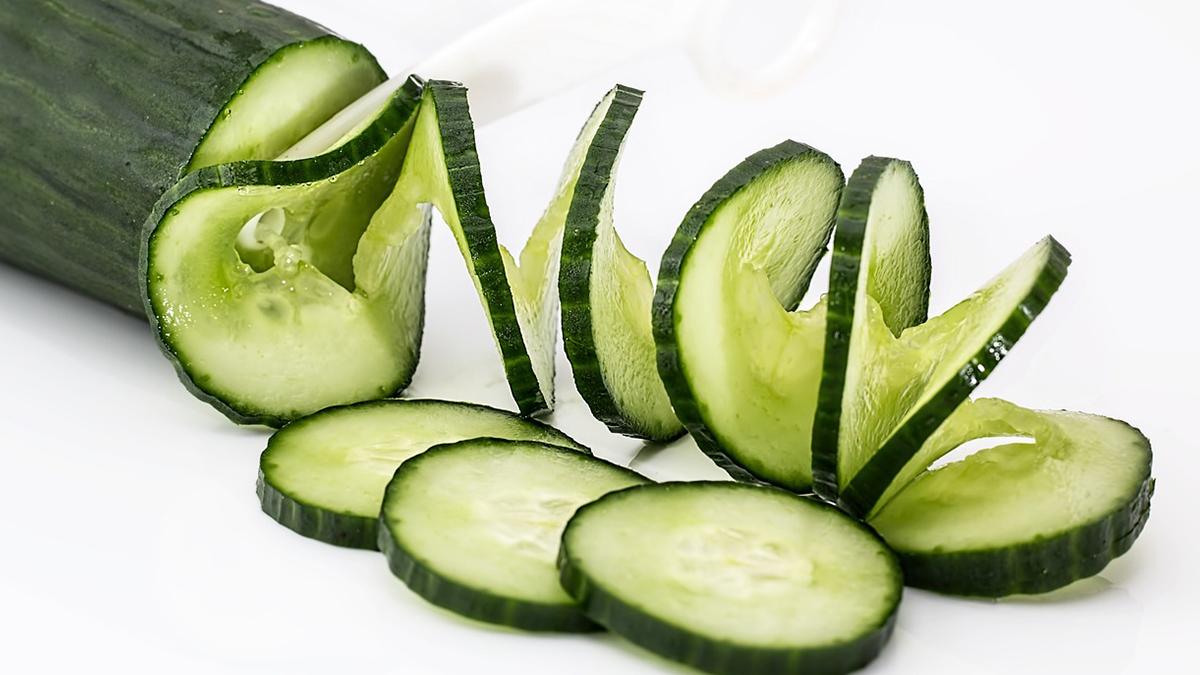 Cucumber Masala Roti: சுவைமிக்க வெள்ளரிக்காய் மசாலா ரொட்டி செய்வது எப்படி..? - விவரம் உள்ளே..!