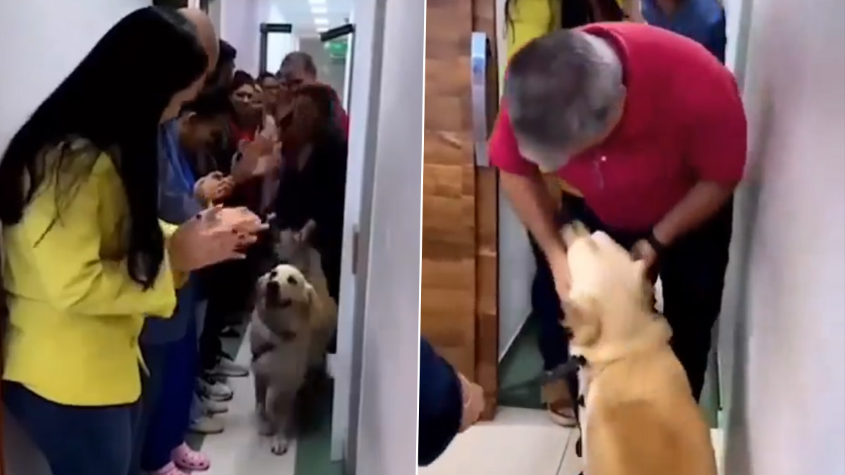 Dog Return Home after Treatment: திருடனை பிடிக்க முயற்சித்து குண்டடிபட்ட நாய்; 54 நாட்களுக்கு பின் உடல்நலம் முன்னேற்றம்.. கைதட்டி மகிழ்ச்சி.!