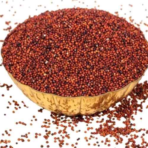 RAGI (R+) PREMIUM R+ 586 - റാഗി കൂരവ്‌