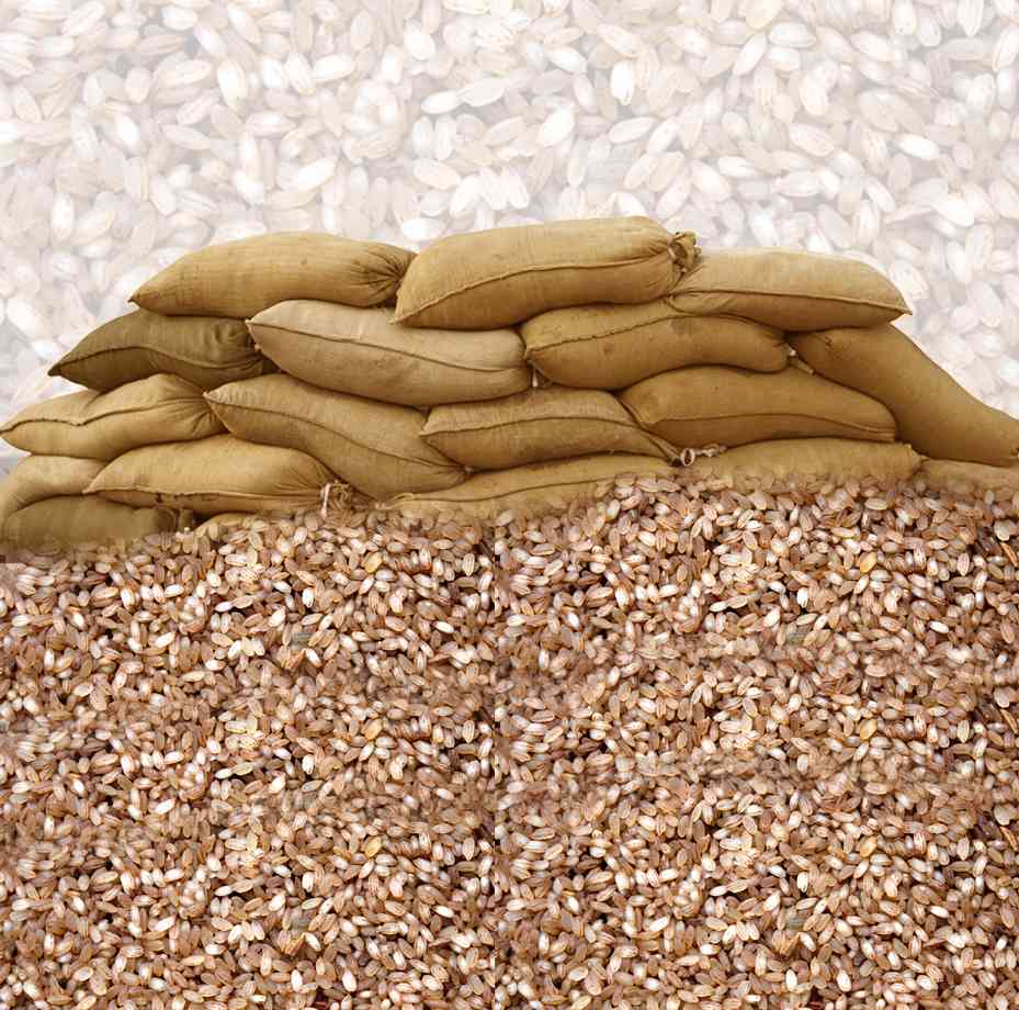 CHAMPA RAW RICE (CRR) 756-Kerala red rice - ചമ്പ പച്ചരി
